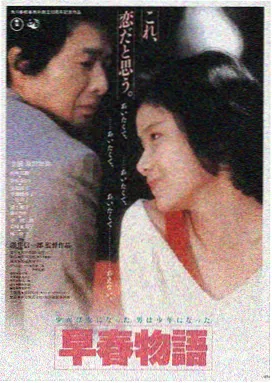华丽的外出 电影海报